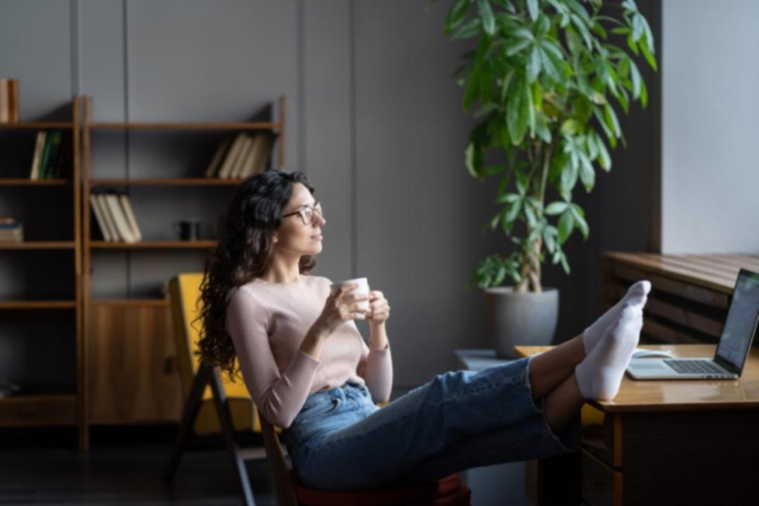 Studijní materiály a analýza trhů